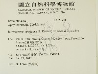 登錄號:F0027558藏品圖，第2張