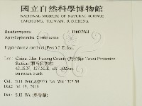 冇骨消絲齒菌藏品圖，第2張