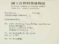 柱擔菌屬藏品圖，第2張