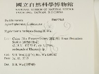 登錄號:F0027565藏品圖，第2張