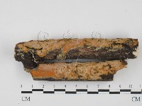 登錄號:F0027567藏品圖，第1張