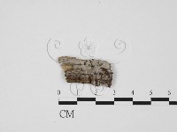 登錄號:F0027568藏品圖，第1張