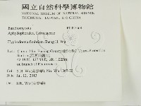 登錄號:F0027569藏品圖，第2張