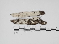 登錄號:F0027572藏品圖，第1張