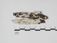 登錄號:F0027572藏品圖，第3張