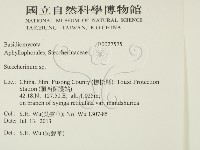 齒耳菌屬藏品圖，第2張