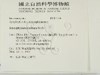 裂褶菌藏品圖，第2張