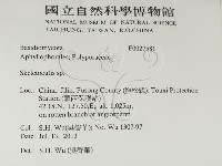 骨皮菌屬藏品圖，第2張