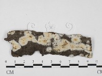 登錄號:F0027582藏品圖，第1張