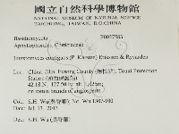 登錄號:F0027583藏品圖，第2張