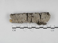 登錄號:F0027583藏品圖，第1張