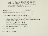 登錄號:F0027585藏品圖，第2張