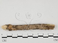 登錄號:F0027585藏品圖，第1張