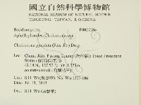 登錄號:F0027586藏品圖，第2張