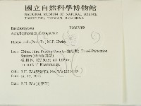 登錄號:F0027589藏品圖，第2張