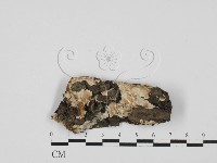 登錄號:F0027589藏品圖，第1張