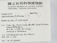 登錄號:F0027590藏品圖，第2張