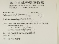 冇骨消絲齒菌藏品圖，第2張