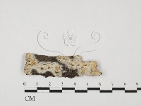 登錄號:F0027593藏品圖，第1張