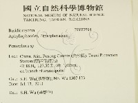 筍殼菌屬藏品圖，第2張