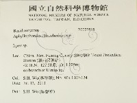 耙菌屬藏品圖，第2張