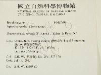 登錄號:F0027596藏品圖，第2張