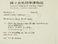 登錄號:F0027597藏品圖，第2張