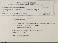 登錄號:F0027599藏品圖，第2張