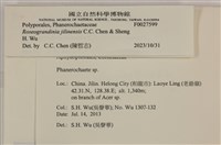 登錄號:F0027599藏品圖，第3張