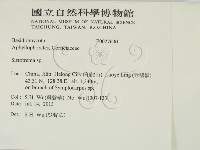 登錄號:F0027600藏品圖，第2張