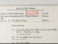 登錄號:F0027602藏品圖，第2張