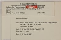 登錄號:F0027602藏品圖，第3張