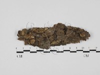 登錄號:F0027603藏品圖，第1張