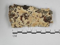 登錄號:F0027605藏品圖，第1張