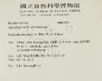 登錄號:F0027611藏品圖，第2張