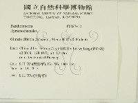 登錄號:F0027612藏品圖，第2張