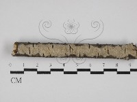 登錄號:F0027616藏品圖，第1張