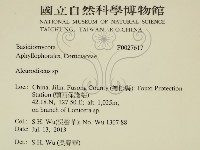 登錄號:F0027617藏品圖，第2張