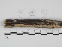 登錄號:F0027617藏品圖，第1張