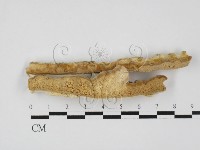 登錄號:F0027623藏品圖，第1張