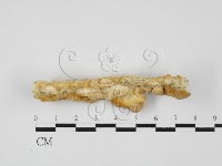 登錄號:F0027623藏品圖，第3張