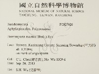 登錄號:F0027626藏品圖，第2張