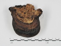 登錄號:F0027626藏品圖，第1張