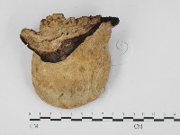 登錄號:F0027626藏品圖，第3張