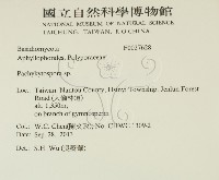 登錄號:F0027628藏品圖，第2張