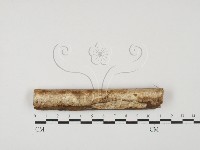 登錄號:F0027628藏品圖，第1張