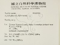登錄號:F0027630藏品圖，第2張