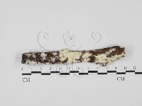 登錄號:F0027630藏品圖，第1張