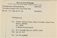 登錄號:F0027630藏品圖，第3張
