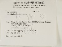 登錄號:F0027633藏品圖，第2張